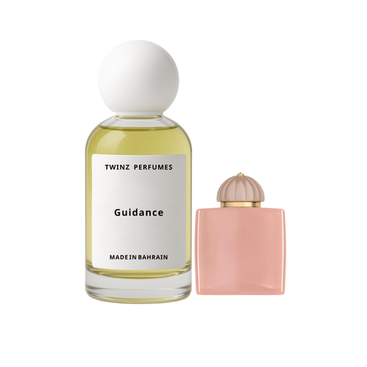 جايدنس - Guidance